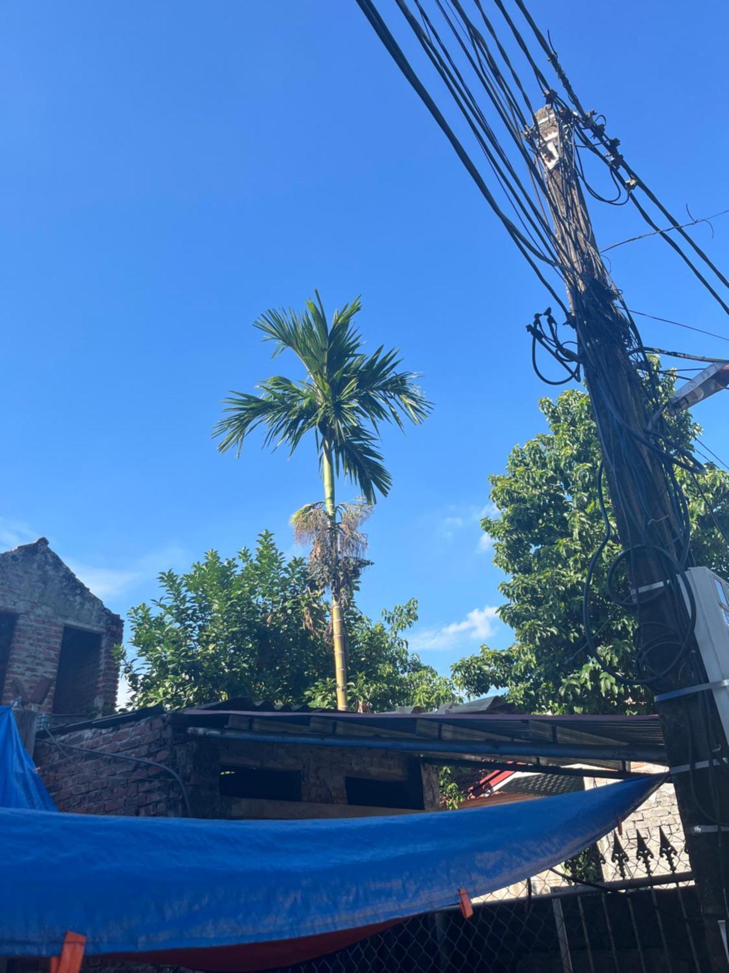 Tam Coc Van Lam Homestay Ninh Bình Ngoại thất bức ảnh